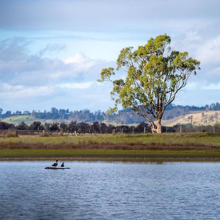 Blackwood Park Cottages Mole Creek Esterno foto