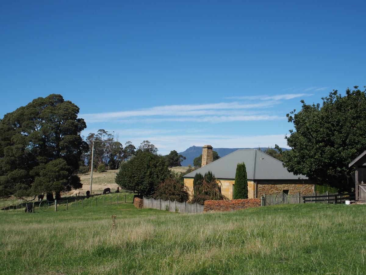 Blackwood Park Cottages Mole Creek Esterno foto