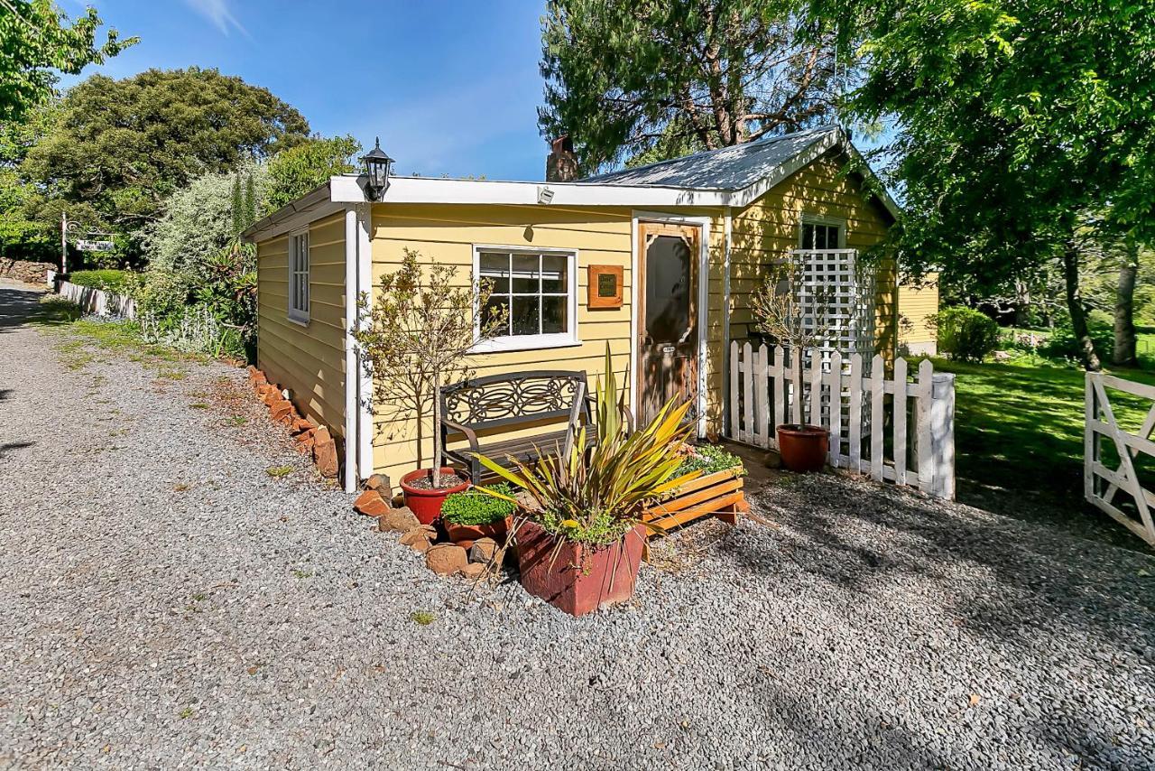 Blackwood Park Cottages Mole Creek Esterno foto