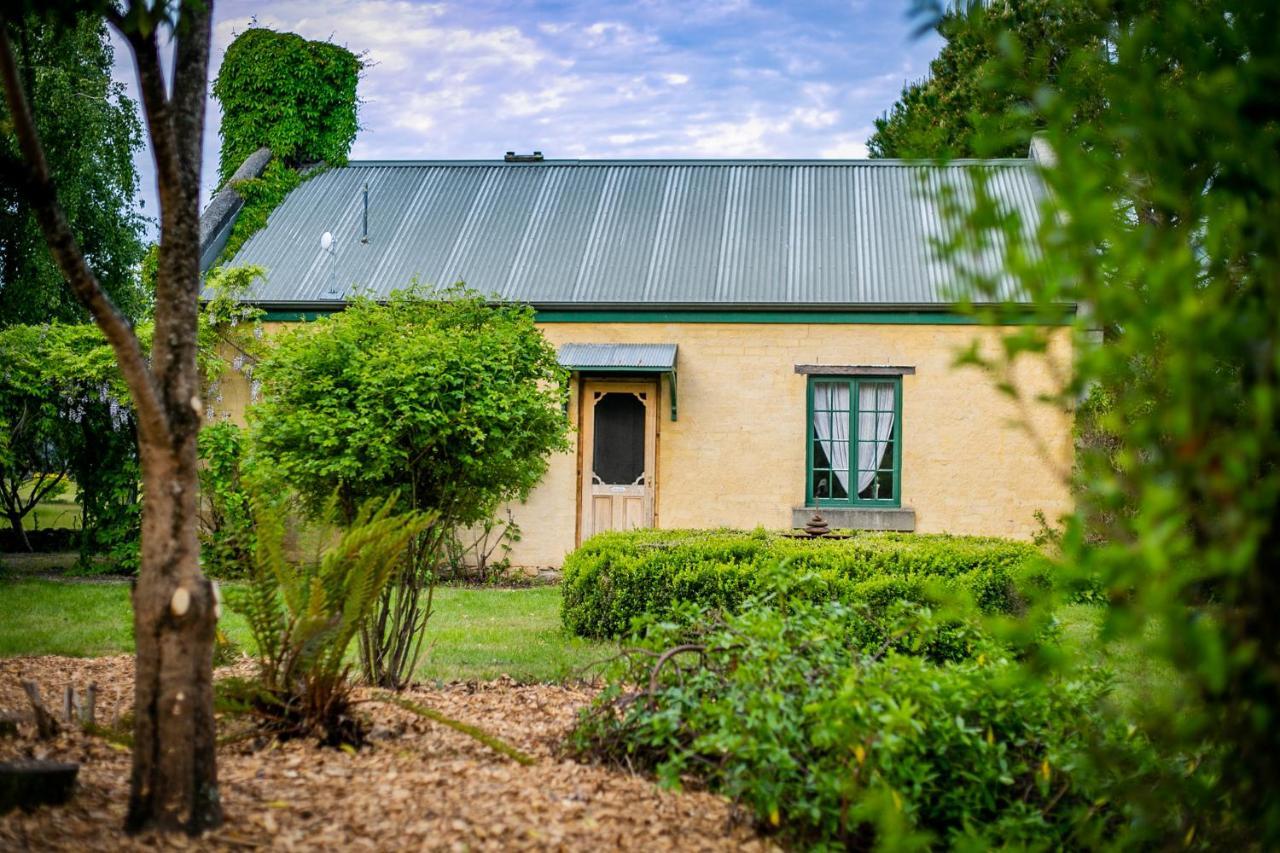 Blackwood Park Cottages Mole Creek Esterno foto