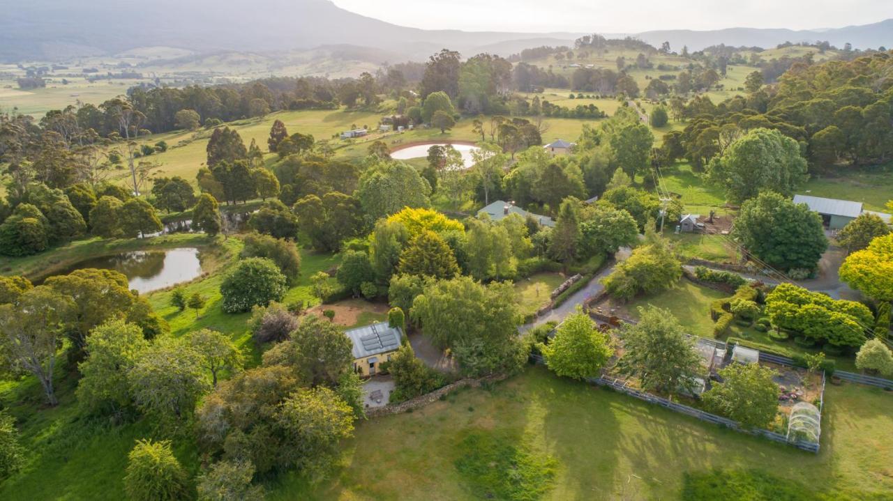 Blackwood Park Cottages Mole Creek Esterno foto